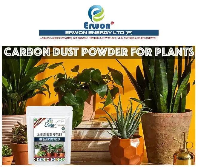 Erwon Carbon Dust Powder From Sansar Green