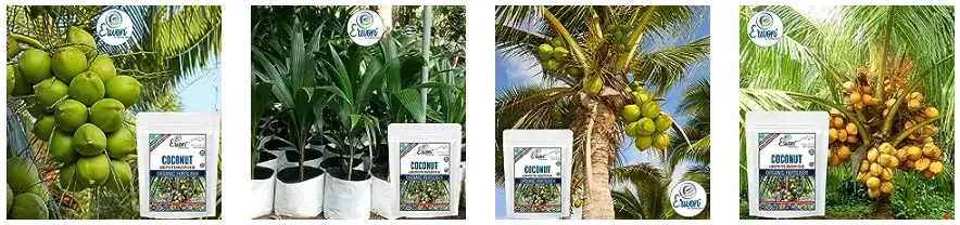 Erwon Coconut Growth Booster From Sansar Green