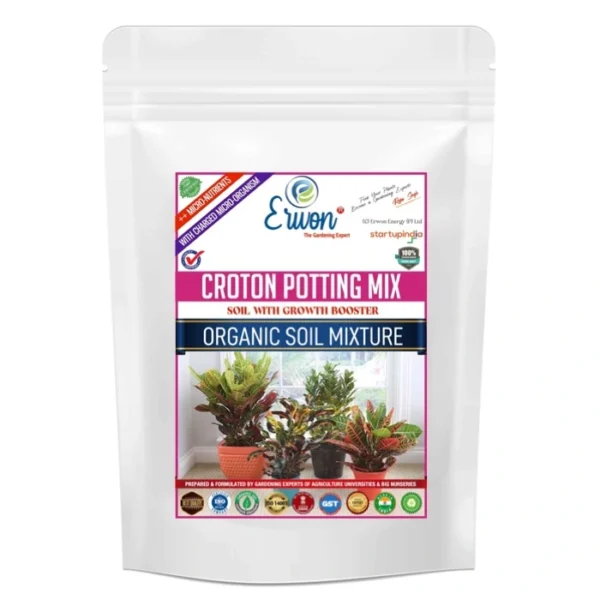 Erwon Croton Potting Mix