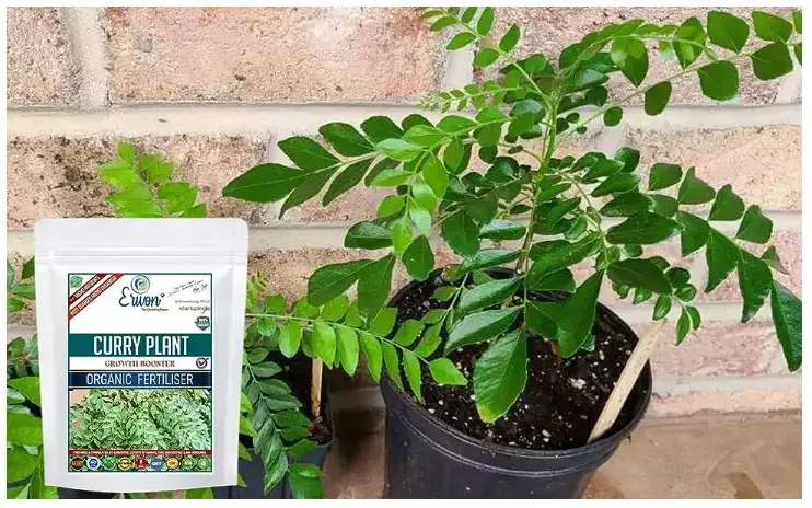 Erwon Curry Plant Growth Booster Organic Fertilizer From Sansar Green