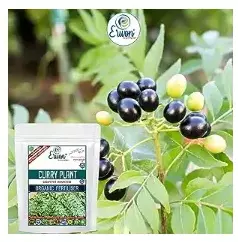 Erwon Curry Plant Growth Booster Organic Fertilizer From Sansar Green