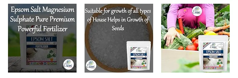 Erwon Epsom Salt Fertilizer For Plants