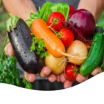 Erwon Epsom Salt Liquid Fertilizer