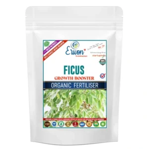 Erwon Ficus Growth Booster