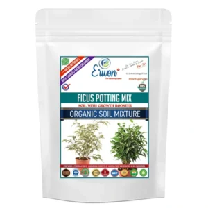 Ficus Erwon Potting Mix Organic Soil