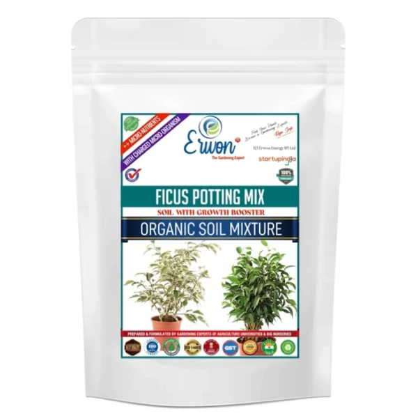 Ficus Erwon Potting Mix Organic Soil