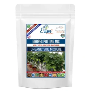 Erwon Grapes Potting Mix