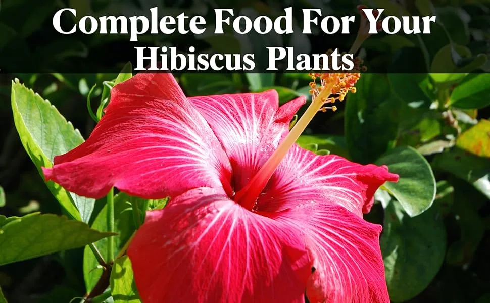 Erwon Hibiscus Liquid Fertilizer For Plants