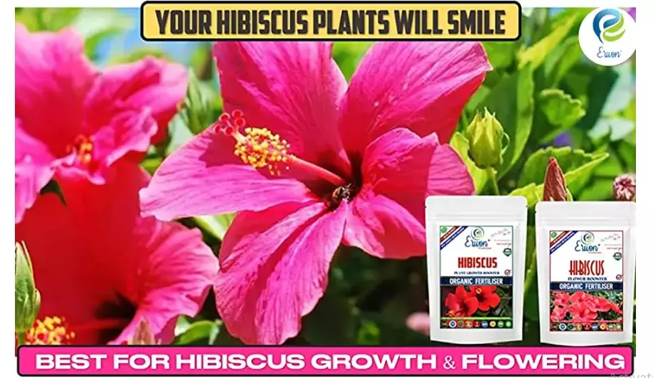 Erwon Hibiscus Plant Growth Booster From Sansar Green