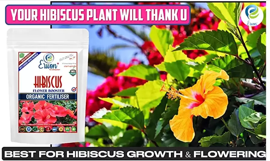 Erwon Hibiscus Plant Growth Booster From Sansar Green