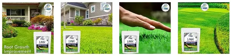 Erwon Lawn Grass Growth Booster From Sansar Green