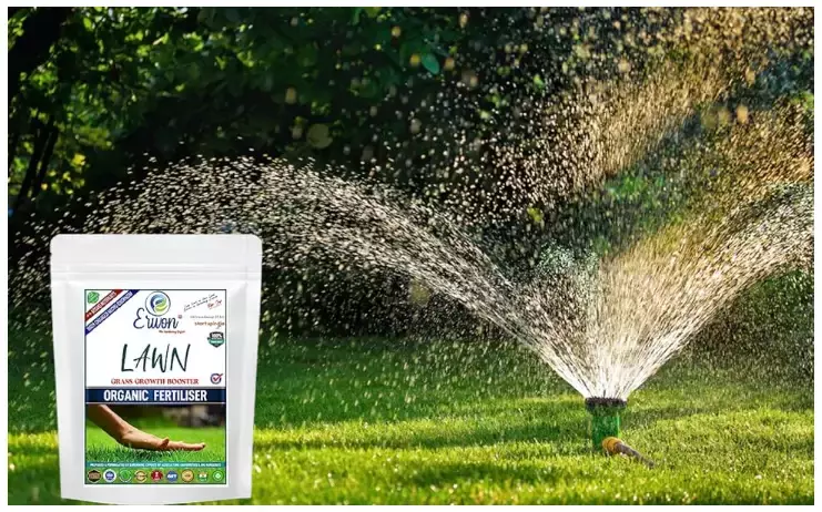 Erwon Lawn Grass Growth Booster From Sansar Green