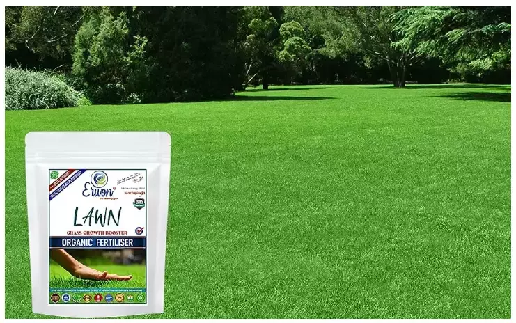 Erwon Lawn Grass Growth Booster From Sansar Green