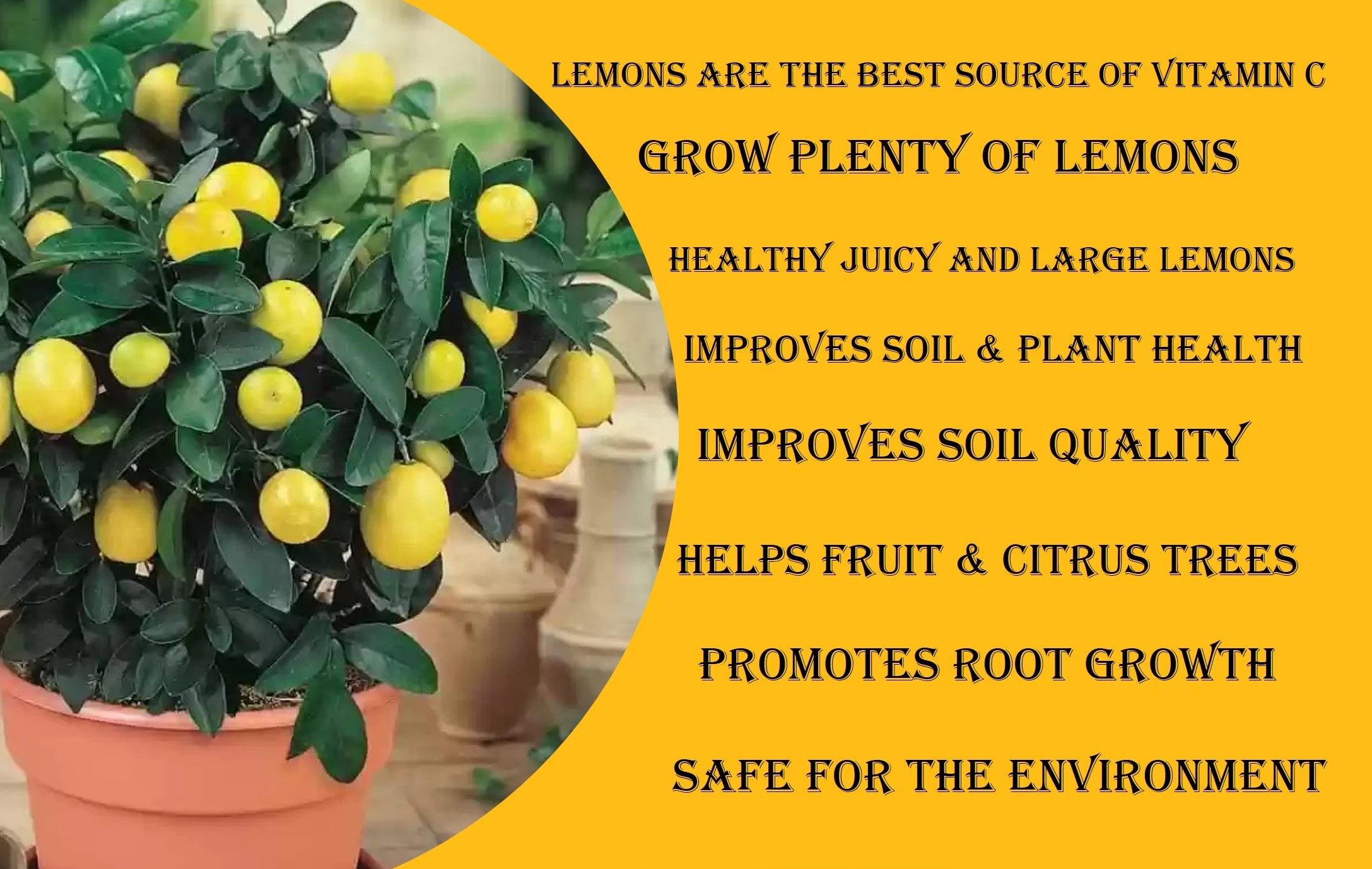 Erwon Lemon Magic Mixture Fertilizer For Lemon Plants