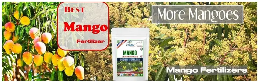 Erwon Mango Growth Booster from Sansar Green