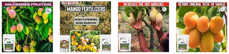 Erwon Mango Growth Booster from Sansar Green