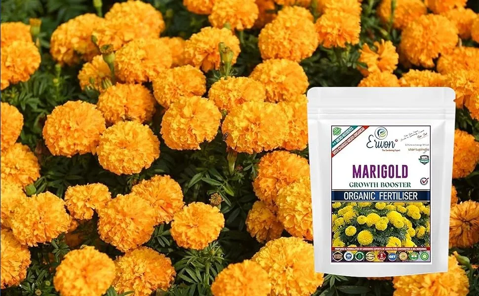 Erwon Marigold Growth Booster Fertilizer