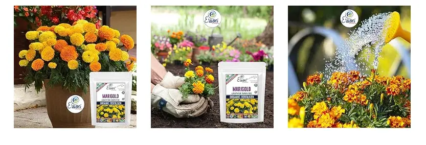 Erwon Marigold Growth Booster Fertilizer