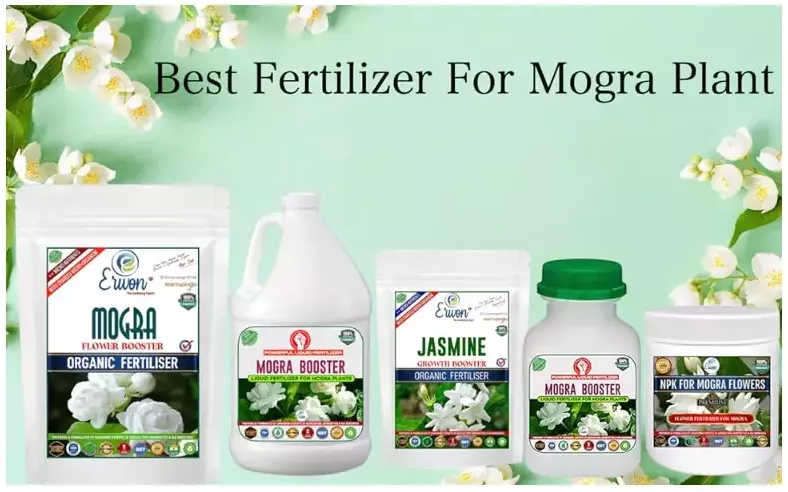 Erwon Mogra Flower Booster from Sansar Green