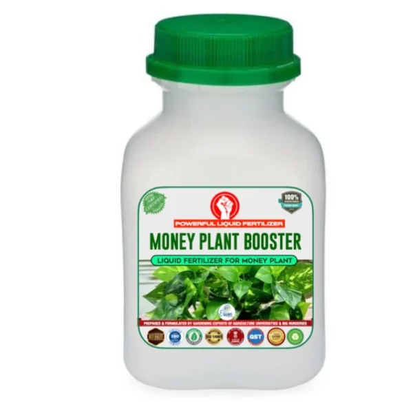 Money Plant Booster Liquid Fertilizer - Erwon