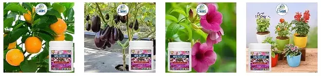 Erwon NPK 30:10:10 Plant Fertilizer From Sansar Green