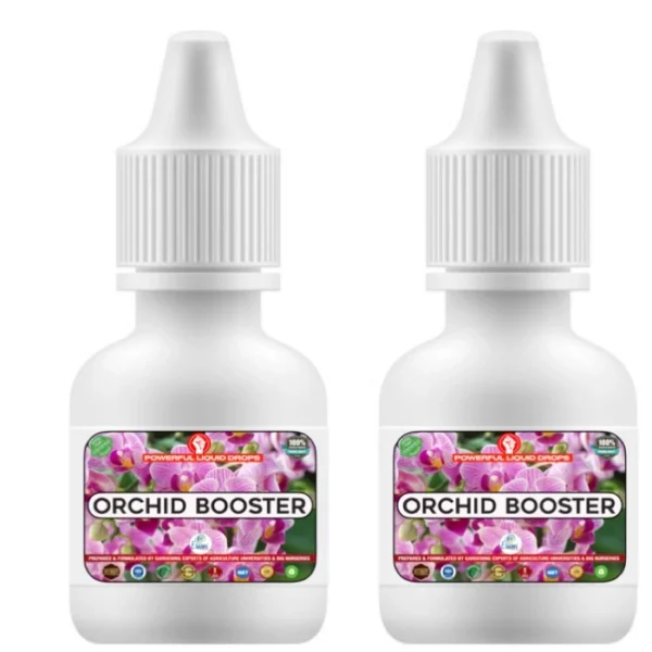 Erwon Orchid Bloom Booster Drop From Sansar Green