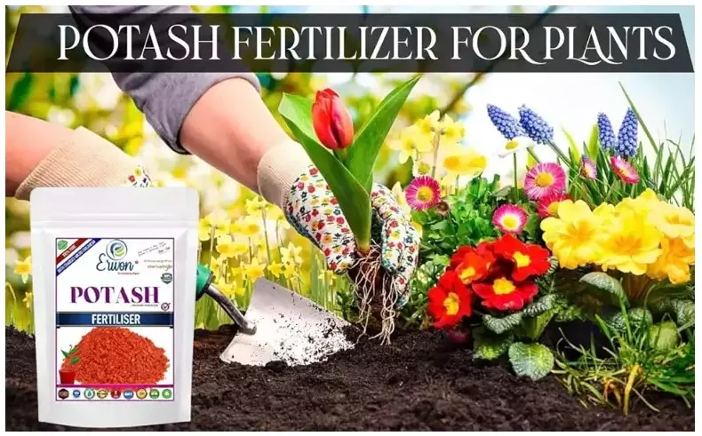 Erwon Potash Fertilizer For Plants From Sansar Green