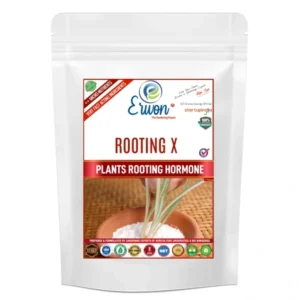 Erwon Rooting- X