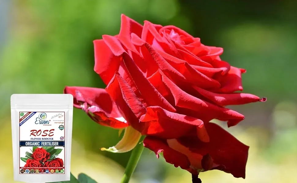 Erwon Rose Flower Booster For Rose Plant