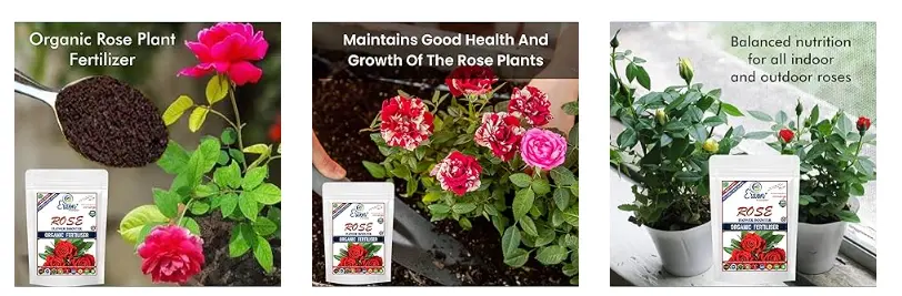 Erwon Rose Flower Booster For Rose Plant