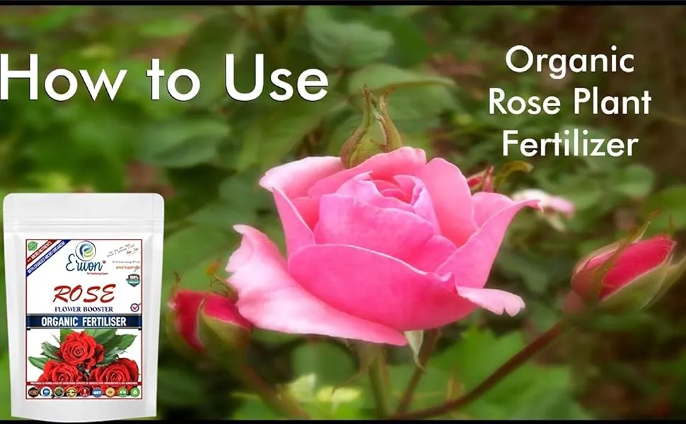 Erwon Rose Flower Booster For Rose Plant