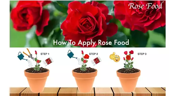 Erwon Rose Food For Rose Plant From Sansar Green