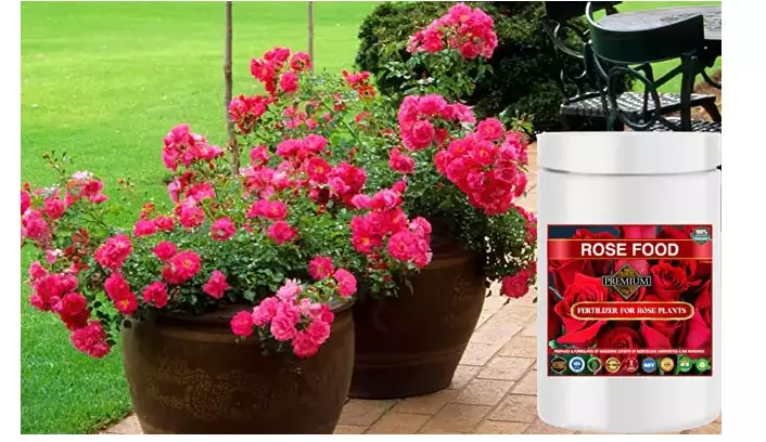 Erwon Rose Food For Rose Plant From Sansar Green