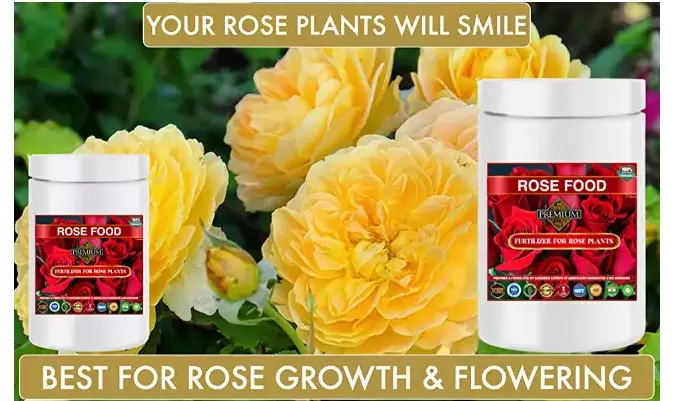 Erwon Rose Food For Rose Plant From Sansar Green