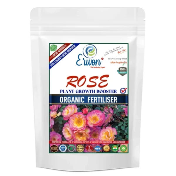 Erwon Rose Plant Growth