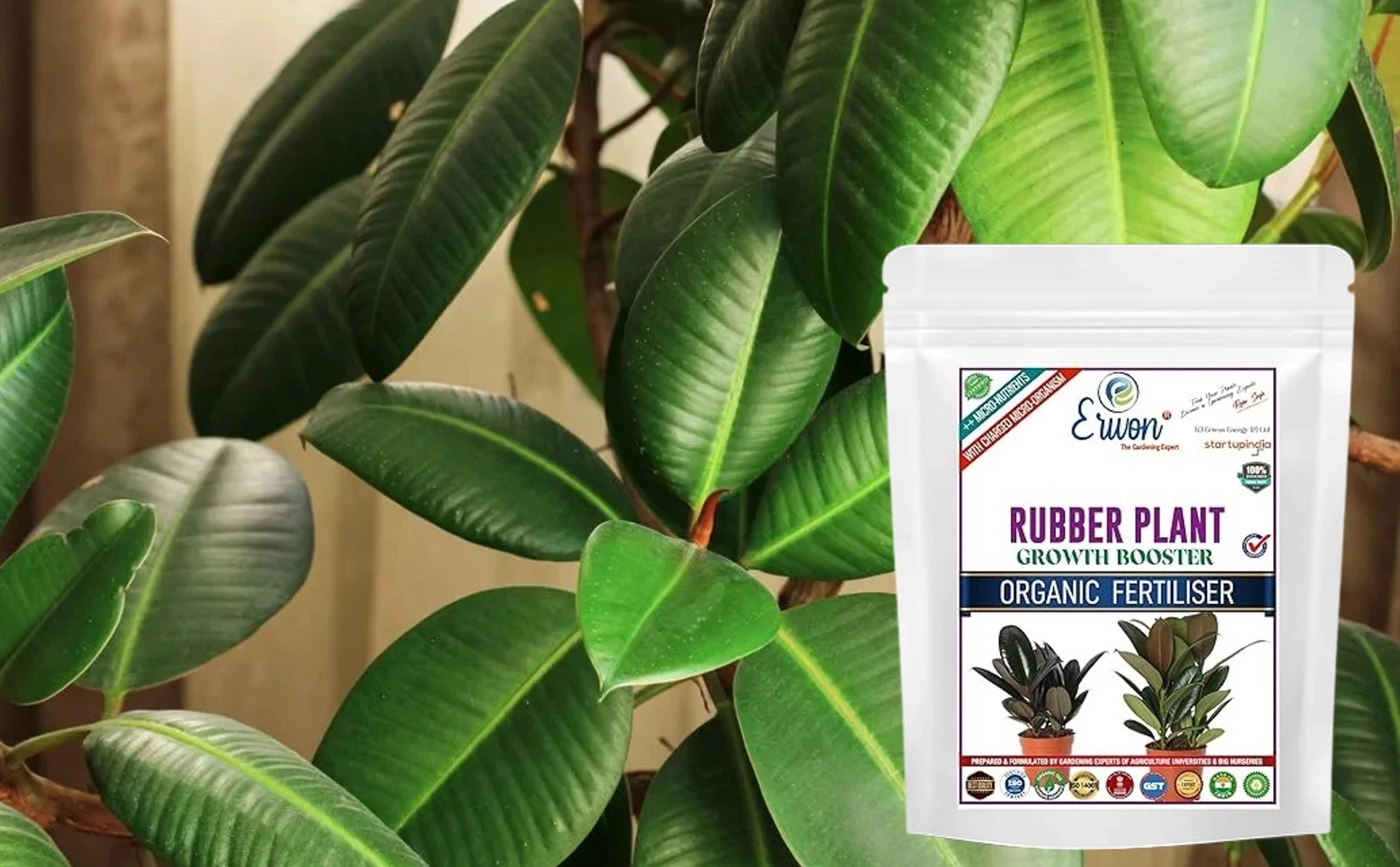 Erwon Rubber Plant Growth Booster 