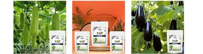 Erwon SSP Organic Fertilizer For All Plants From Sansar Green