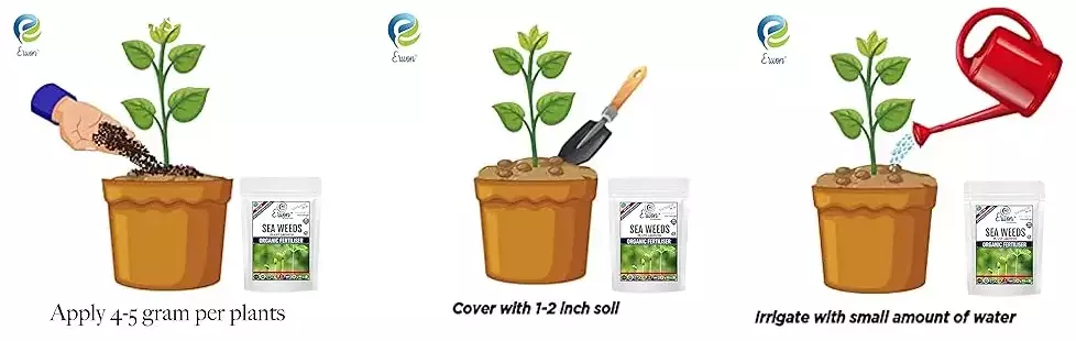 Erwon Seaweeds Plant Growth Organic Fertilizer From Sansar Green