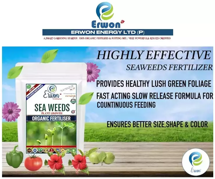 Erwon Seaweeds Plant Growth Organic Fertilizer From Sansar Green