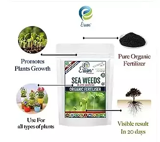 Erwon Seaweeds Plant Growth Organic Fertilizer From Sansar Green