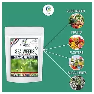 Erwon Seaweeds Plant Growth Organic Fertilizer From Sansar Green