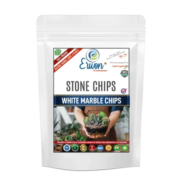 Erwon Stone Chips