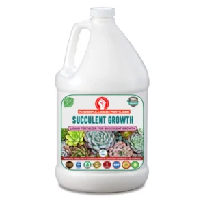 Succulent Growth Liquid Fertilizer From Sansar Green