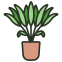 Sansar Green Indoor Live Plants