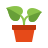 Sansar Green Self Watering Live Plants