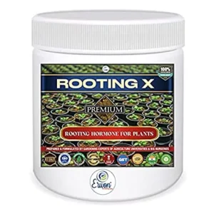 Erwon Rooting X Powder for fast rooting of plants from cuttings.