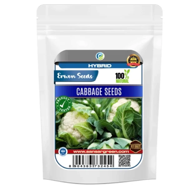 Erwon Hybrid Cabbage Seeds From Sansar Green