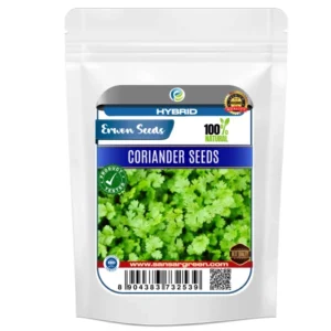 Erwon Hybrid Coriander Seeds From Sansar Green