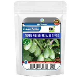 Erwon Hybrid Green Round Brinjal Seeds From sansar green