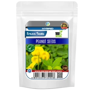 Erwon Hybrid Peanut Seeds From sansar Green